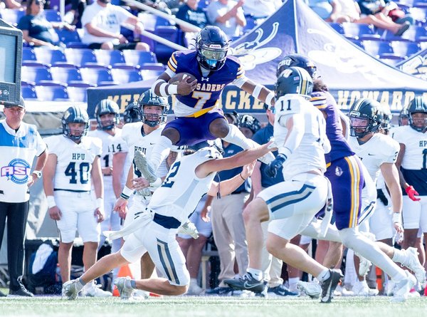 Master the Art of Crafting a Perfect Golden Crust Beef and Onion Pie: A Classic Recipe Revealed