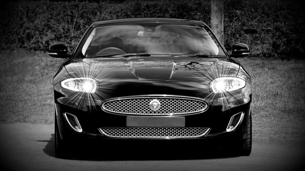 Revolutionizing real estate: key approaches to embed sustainable urban farming practices